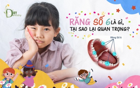 Răng số 6 là gì, tại sao lại quan trọng?